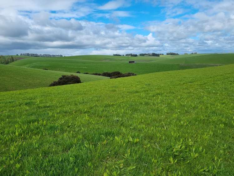 1628 Tuapeka West Road and 275 Bush Road Tuapeka West_13