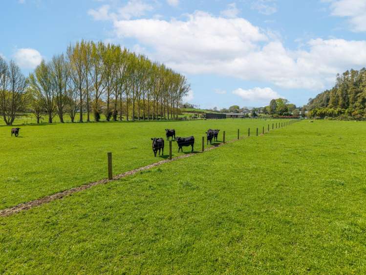 21 Barrett Road Ngahinapouri_32