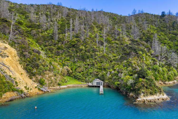 Sec 9 Maraetai Bay Queen Charlotte Sound_11