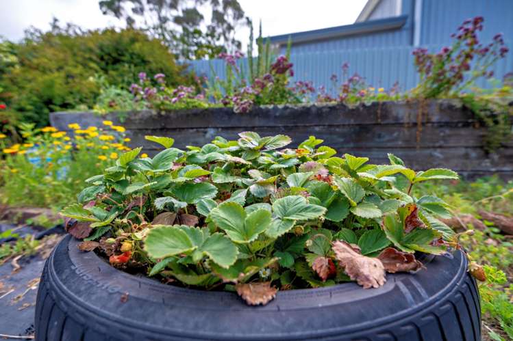 25 Windsor Street Opotiki and Surrounds_21