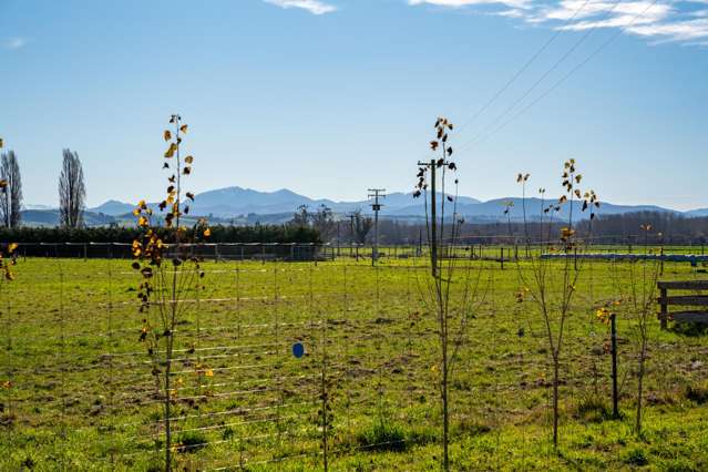 1 Opihi Road Totara Valley_2