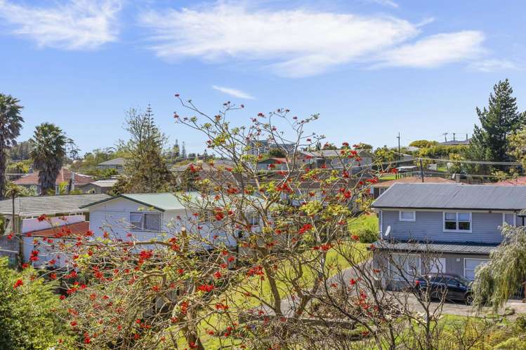 20 Aquarius Avenue Glen Eden_16