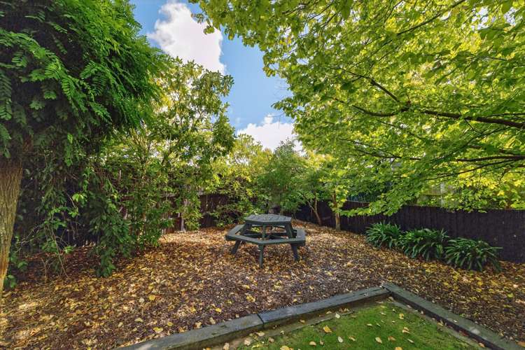 73 Dunedin Street Redwood_8