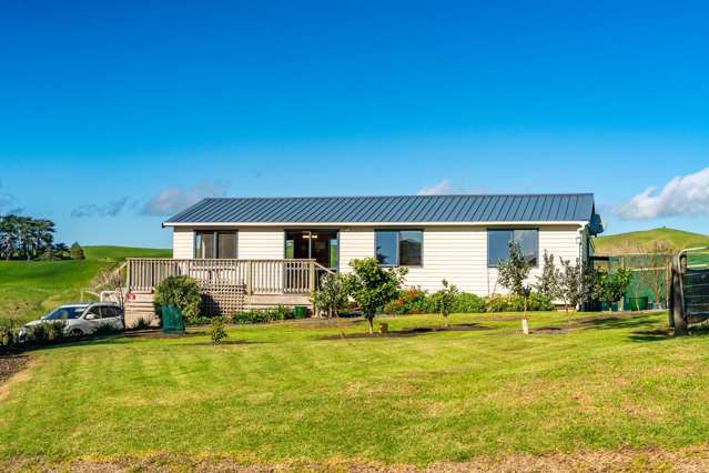 264 Bee Bush Road Dargaville_1