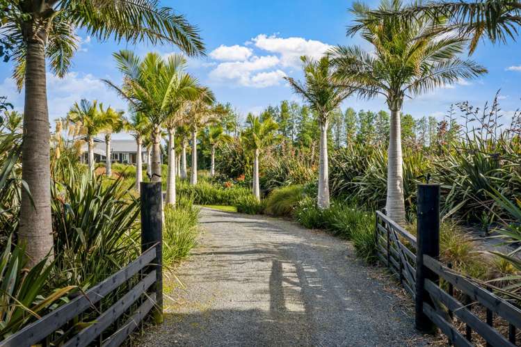 316 Omaha Flats Road Tawharanui Peninsula_22