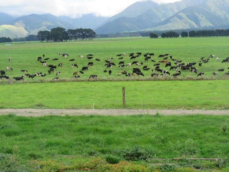 746 Top Grass Road Dannevirke_6