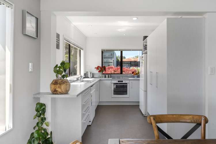 284 Maungatapu Road Maungatapu_6