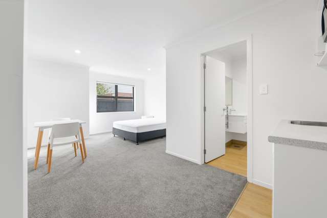 54b Cook Street Hamilton East_4