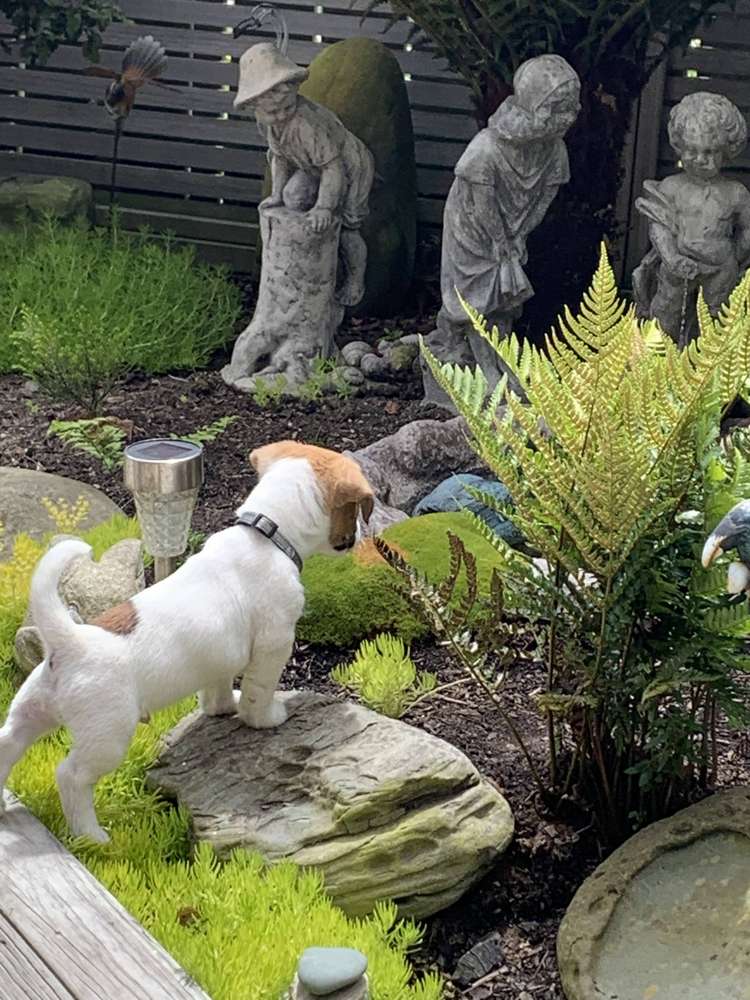 44 Stewart Street Balclutha_19