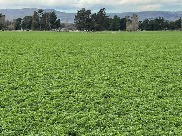 626 Gladbrook Road Middlemarch_3