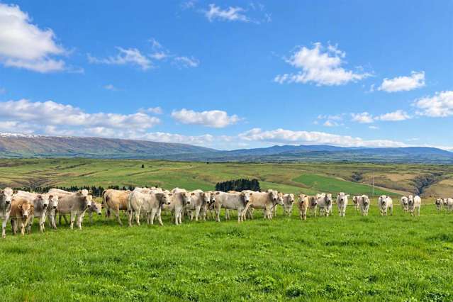 Dairy support, cattle finishing