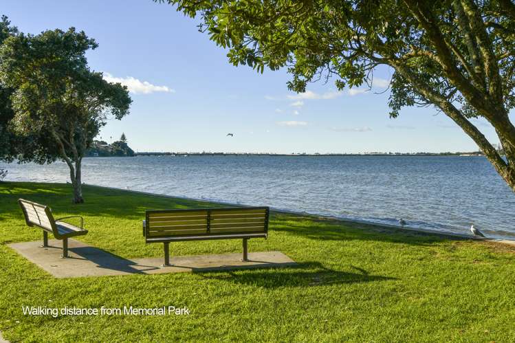 65a Fraser Street Tauranga South_16