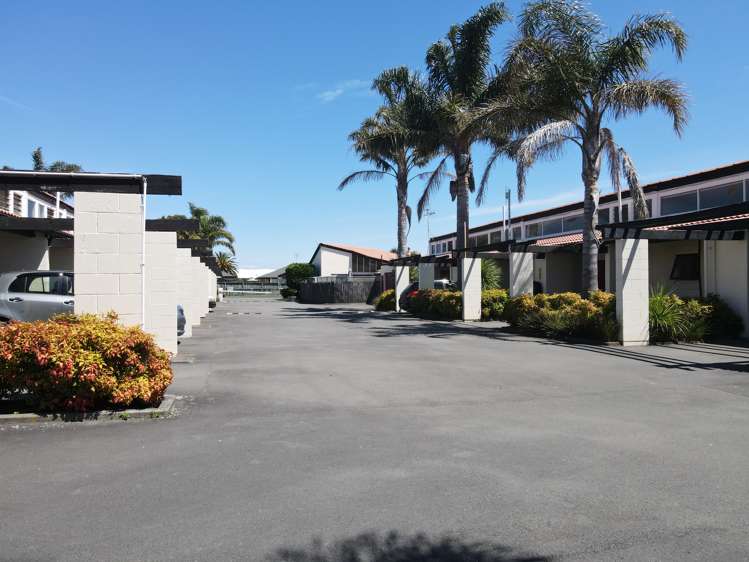 4 Westminster Avenue Tamatea_7