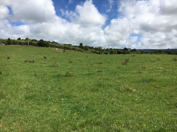 Whakataha Road Waimate North_6