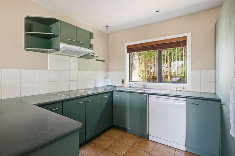 20A Otumoetai Road Judea_5