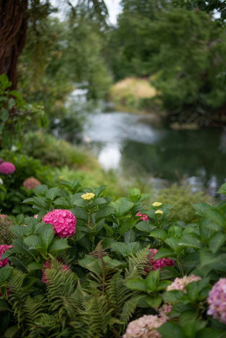 34 Shirtliff Street Riversdale_34