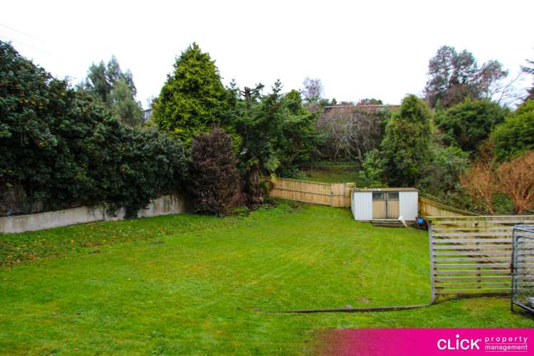 388 Taieri Road 10276_9