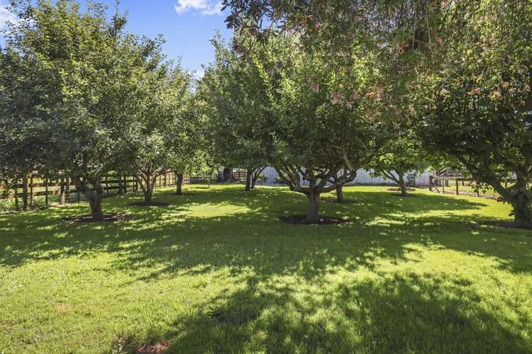 121 Morrinsville-Walton Road Morrinsville_24