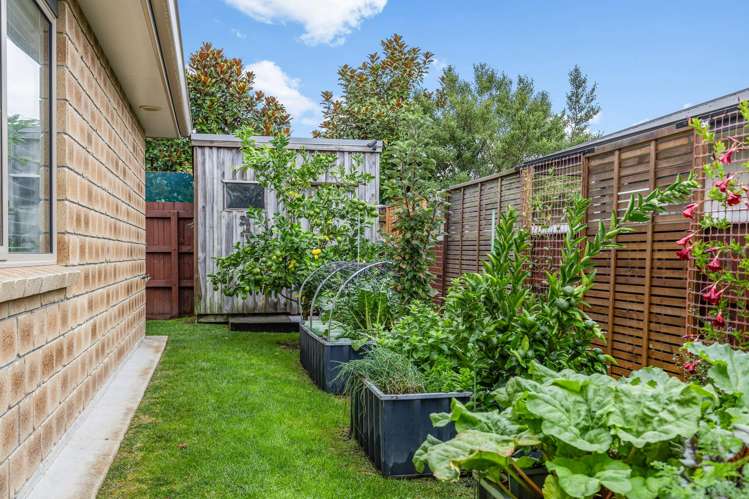 8c Smith Street Matamata_10