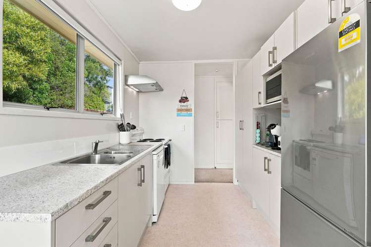66 Alexander Avenue Torbay_8