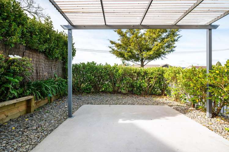 1a Rose Street Maeroa_6