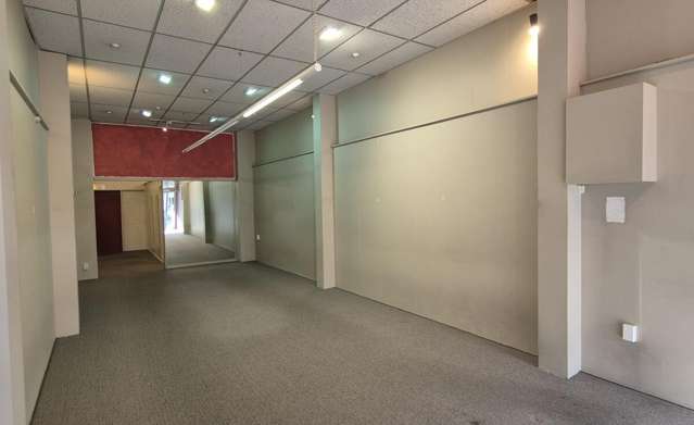 126 Bridge Street Nelson City_1