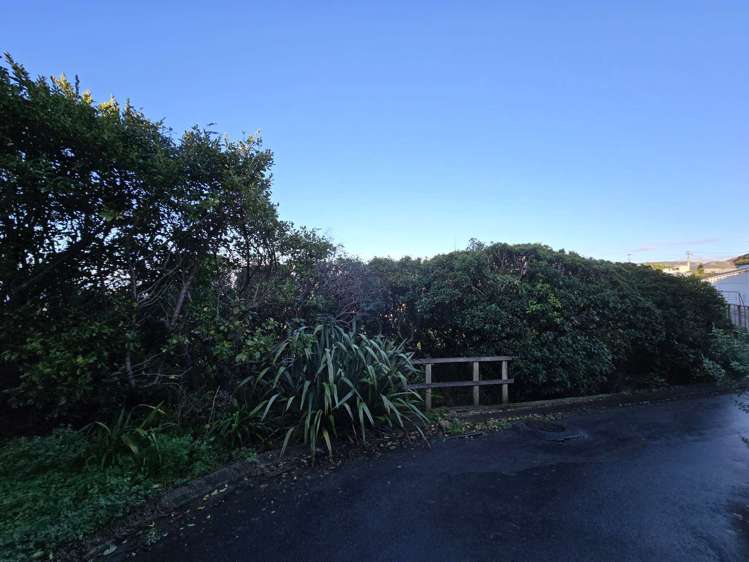 84A Madras Street Khandallah_6