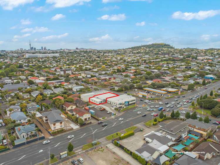 110D Saint Lukes Road Mt Albert_9
