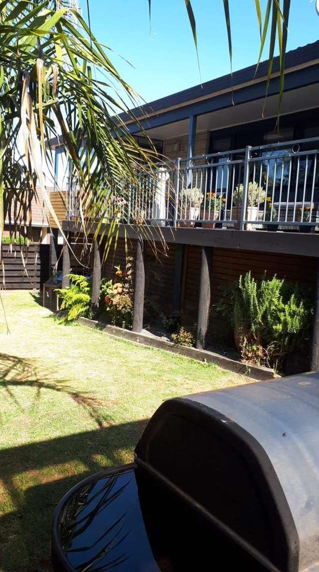 51 Strathmore Street Matua Tauranga Houses for Sale One Roof