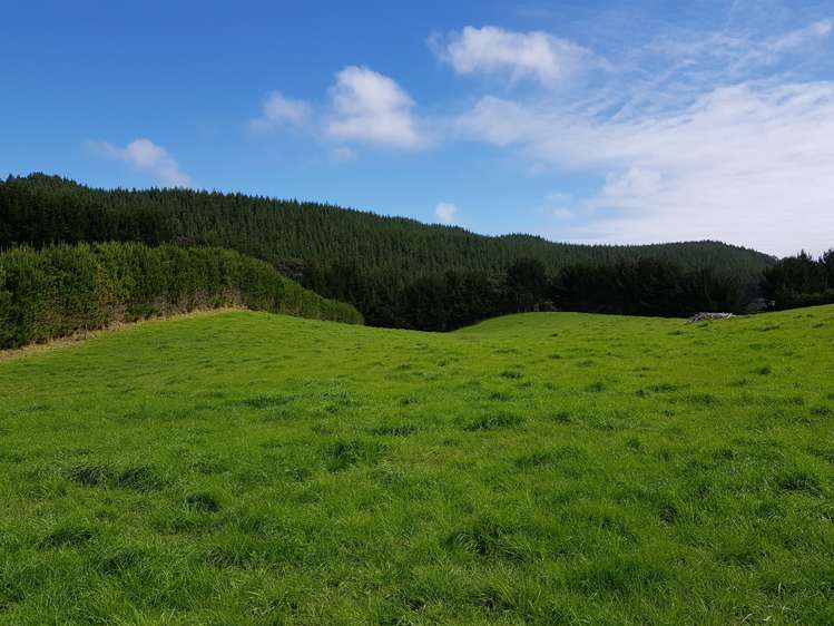 4969 Pouto Road Pouto_7