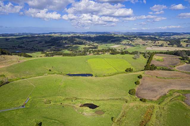 278 Pigs Head Road Hikurangi_3