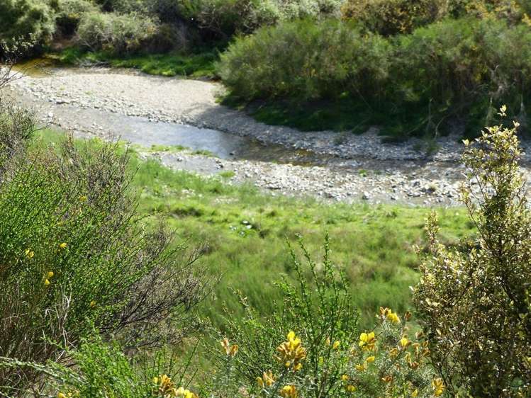 Whitneys Road Waimate_9