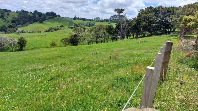 Lot/6 Franklin Road Paparoa_1