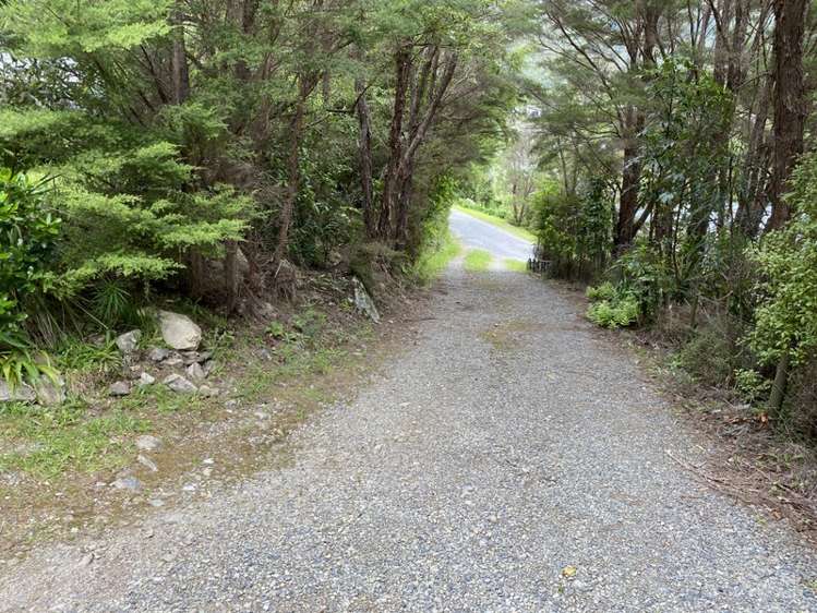 11 Nikau Street Duncan Bay_6