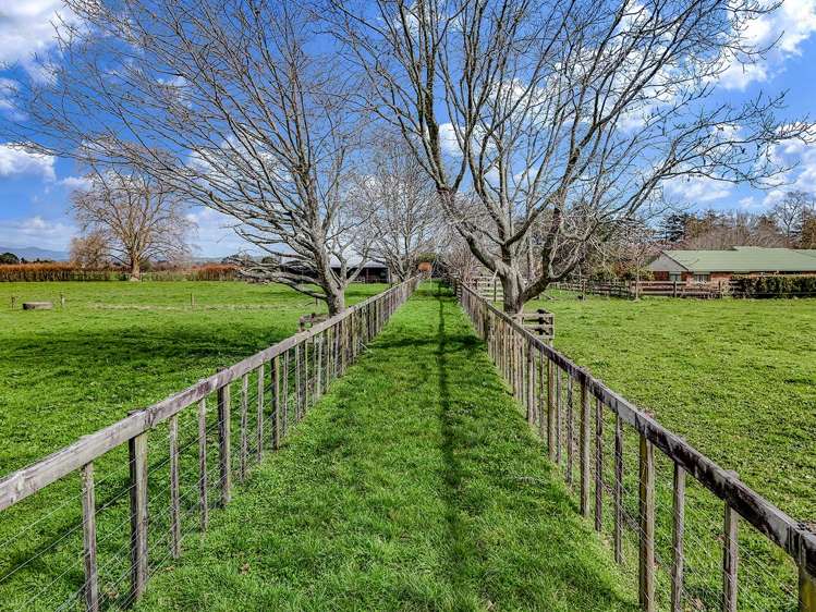 54C Hartstone Road_5