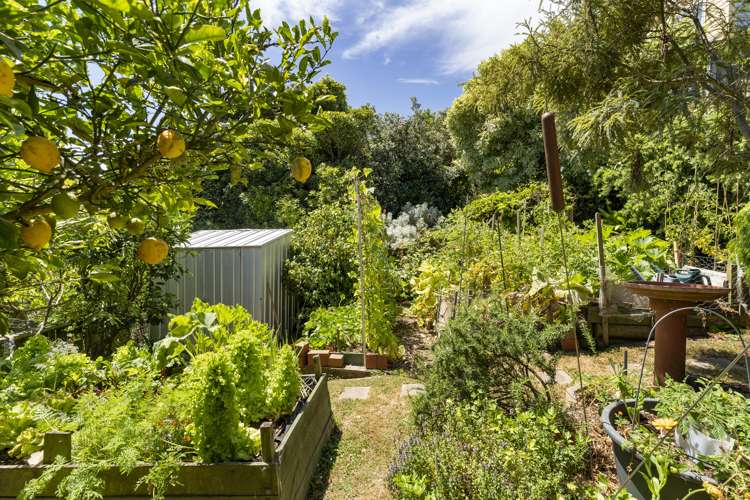 61 Eskdale Road Papakowhai_14