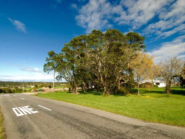 69 Oparara Karamea Karamea_21