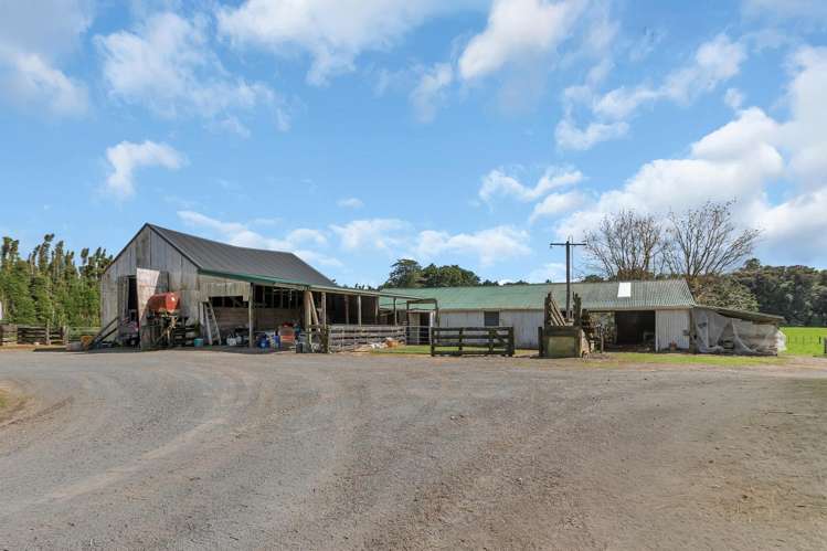 90 Mckinley Road Kokopu_13