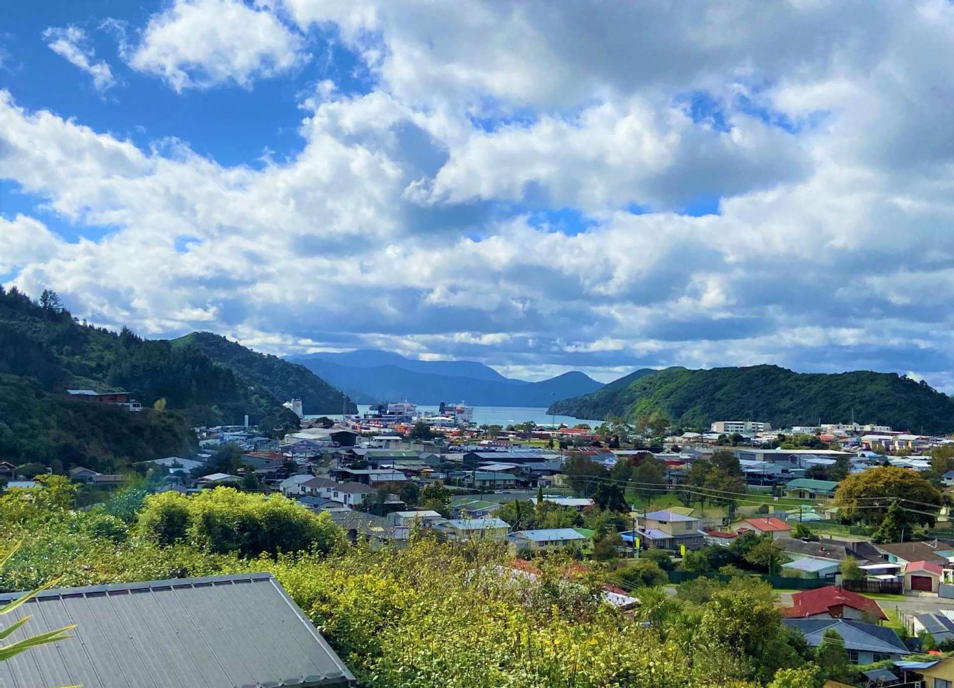 12 Dorset Street Picton_0