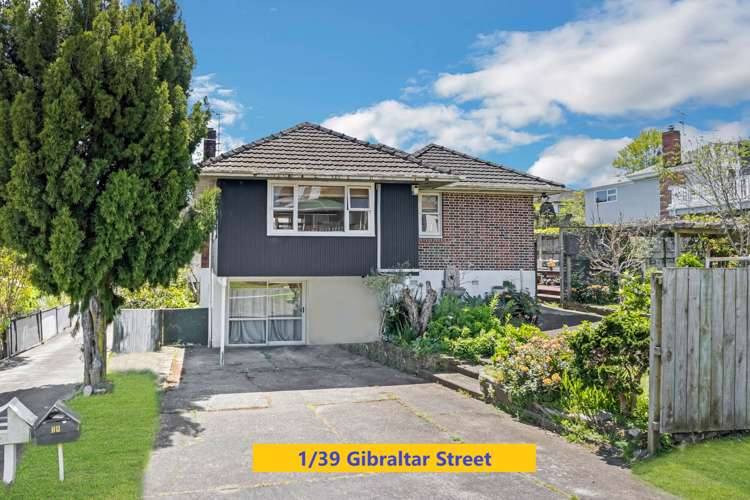 1 & 2/39 Gibraltar Street Howick_4