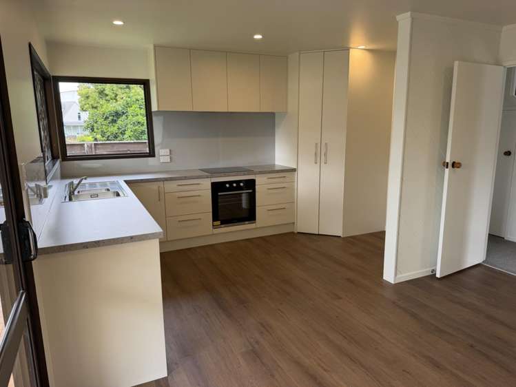 3 Apirana Avenue Regent_6