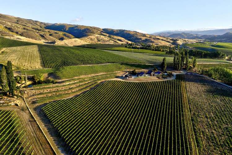 212 Cairnmuir Road Cromwell_28