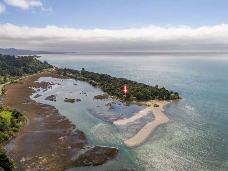 64 Totara Avenue Collingwood_15