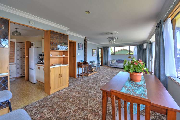 3 Back Street Tapanui_7