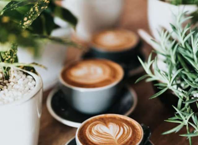 Address withheld Palmerston North_2