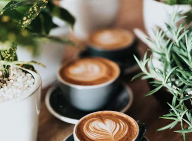 Address withheld Palmerston North_2