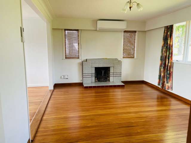 3 Marion Avenue Mount Roskill_2