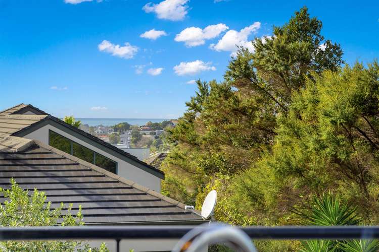 67 Fitzwilliam Drive Torbay_13