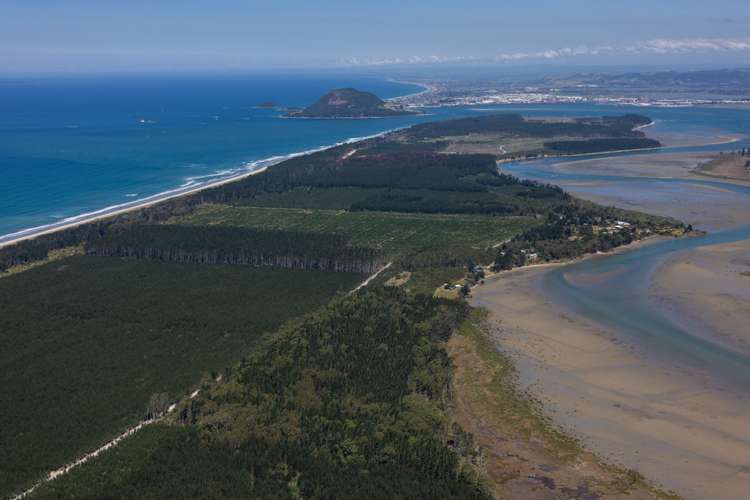 Address withheld Mount Maunganui_41