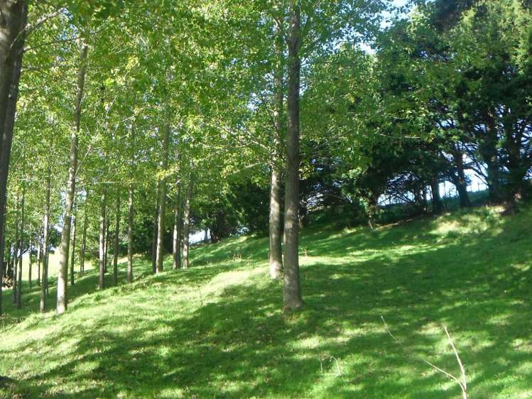 697 Tangihua Road Maungakaramea_12